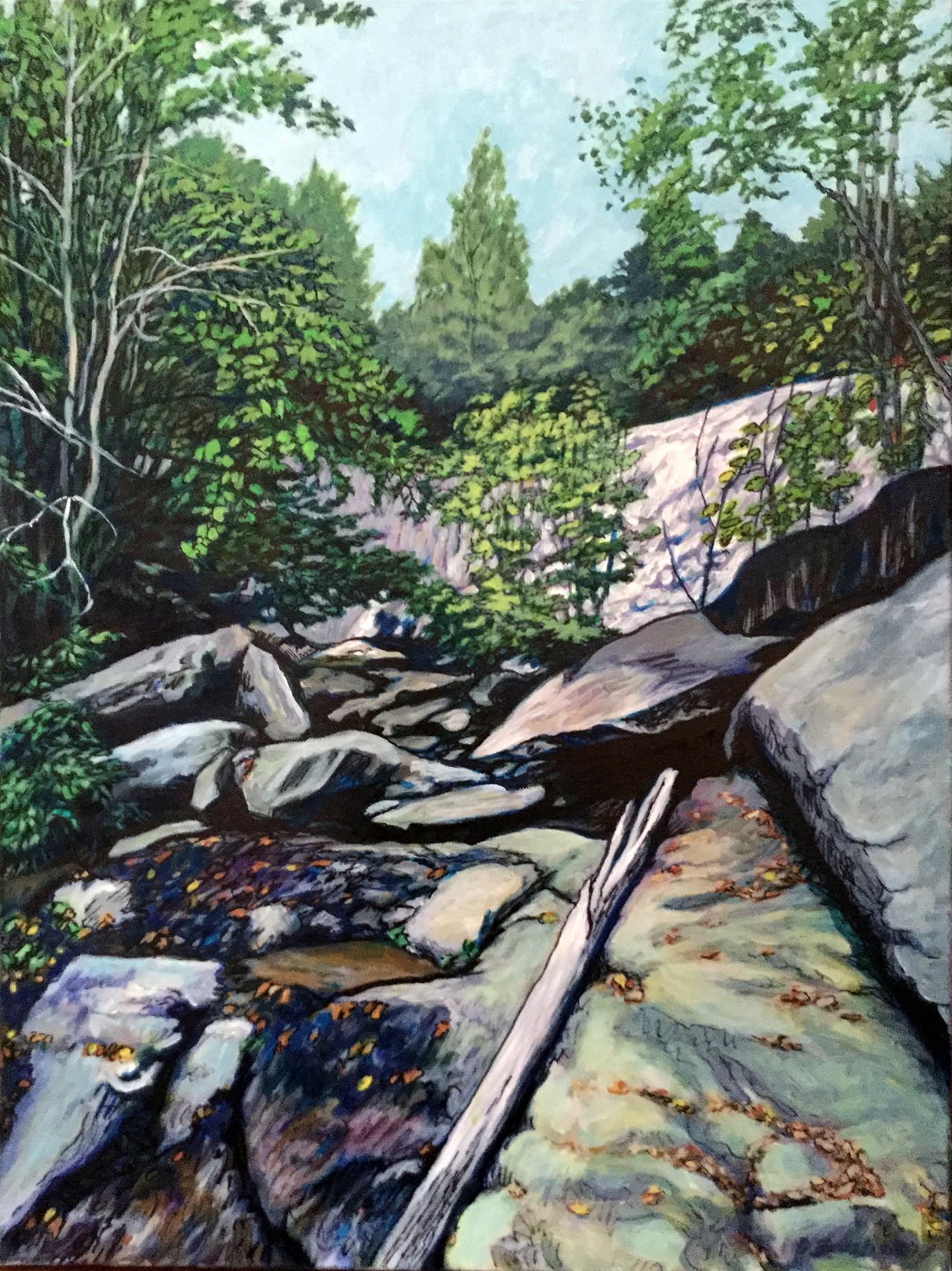 Landscape Portrait: Big Branch Falls